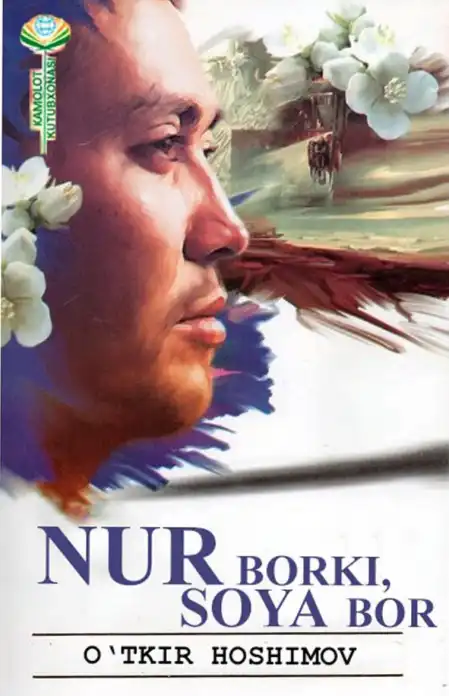 Nur borki, soya bor